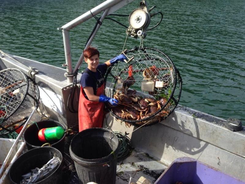 Crab Season 2014